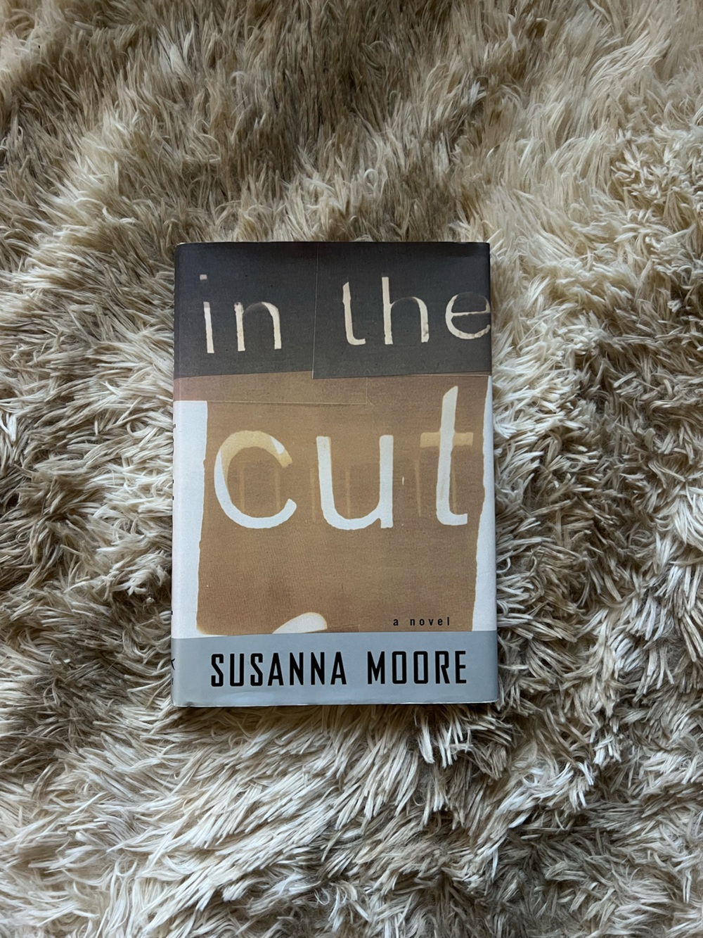 In the Cut by Susanna Moore - Tan & Black Hardcover Novel